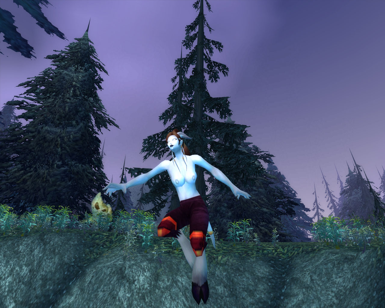 WoWScrnShot_051508_164031.jpg