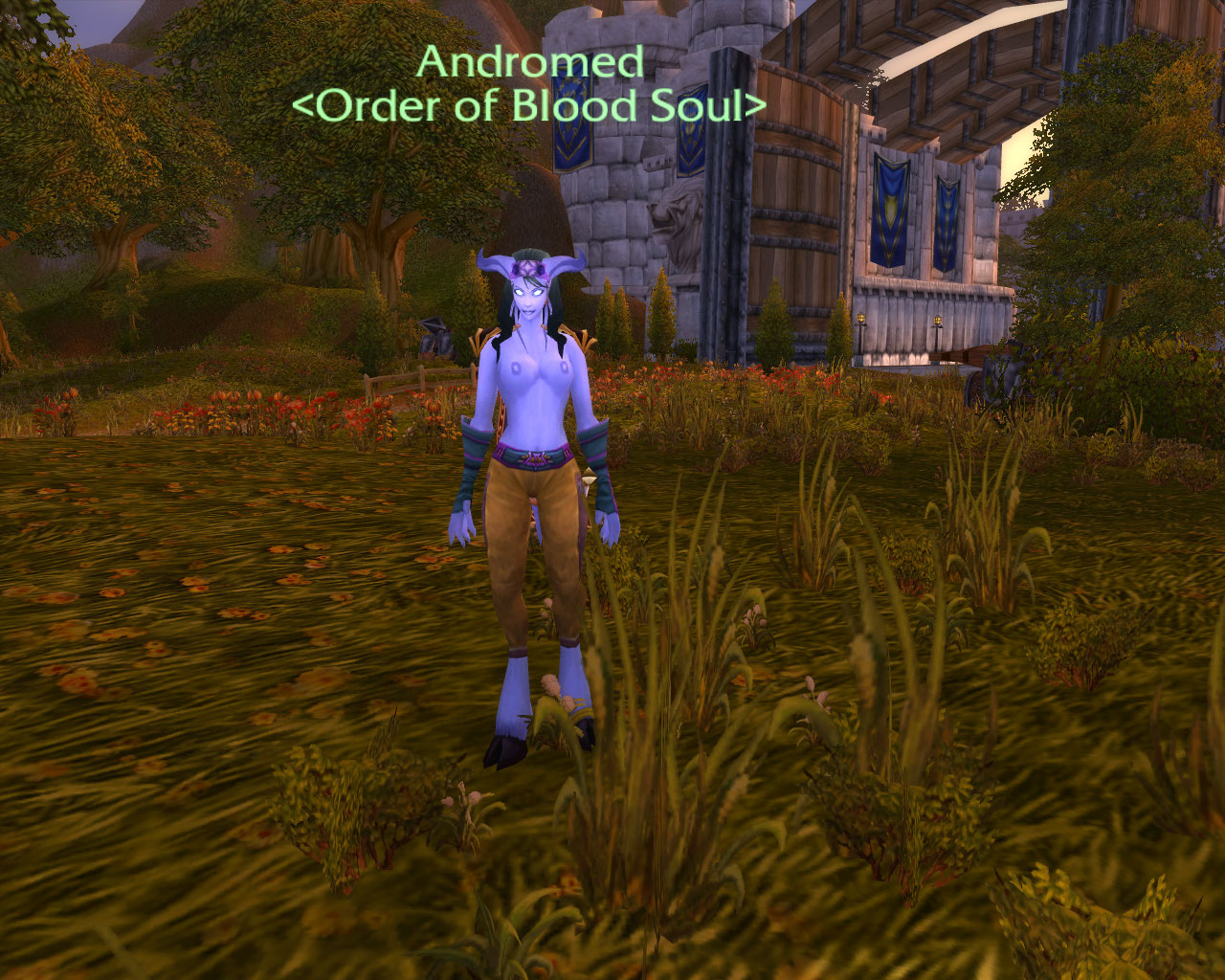 WoWScrnShot_052008_201245.jpg