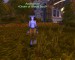 WoWScrnShot_052008_201245.jpg