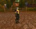 WoWScrnShot_051708_190554.jpg